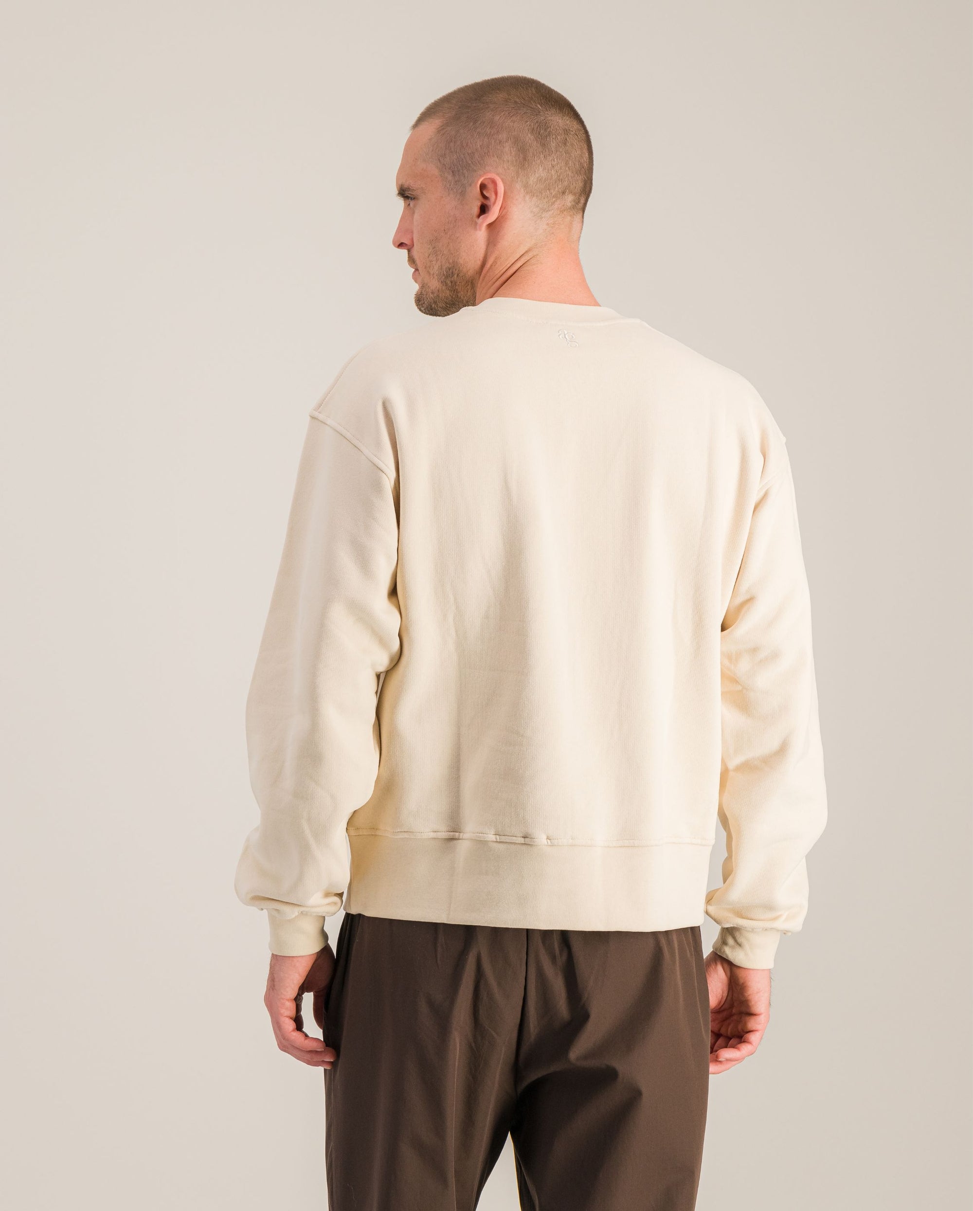 Sweatshirt homme coton bio, beige dos Angarde