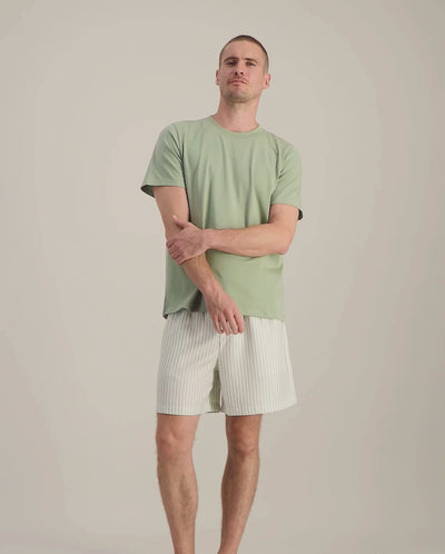 Men's t-shirt and shorts set, sage